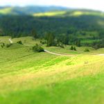 Szlak z Palenicy na wysoką - zielone wzgórza