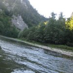 Dwu godzinny spływ Dunajcem z flisakami