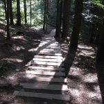 szlakl na sokolicę - drewniane schody na szlaku