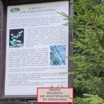 tablica informacyjna rezerwat Zaskalskie Bodnarówka